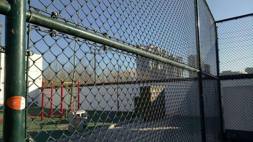 整車拓日護欄網 安平縣拓日絲網制品的防護網解決方案